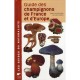 Guide Des Champignons De France Et D'europe - Regis Courtecuisse , Bernard Duhem