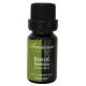 Huile essentielle bio "Basilic Tropical" Sevessence