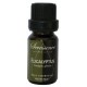 Bio Essential Oil "Eucalyptus" Sevessence