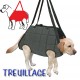 POLYTRANS harnais de treuillage pour chien