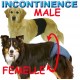 POLYTRANS slip incontinence pour chien et chienne