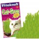 Vitakraft herbe à chat cat-gras