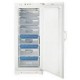 Indesit UFAN300 Brosseur vertical Congélateur
