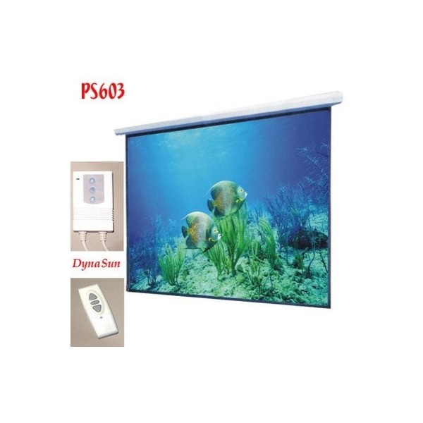 Procolor DynaScreen Projection (motorized) Floorstanding screen Datamat Mat.