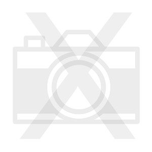 Historia del imperio persa de Ciro a Alejandro - Pierre Briant