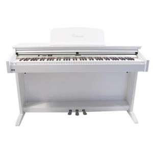 DELSON CONCERTO 8871