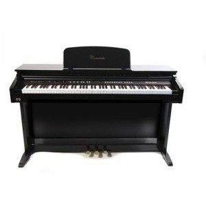 DELSON CONCERTO 8877