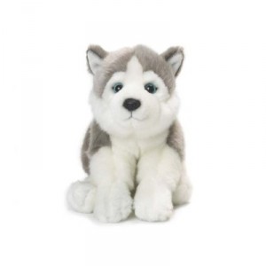 Anna Club - 23177001 - Plüsch - Husky - 20 cm (AKP)