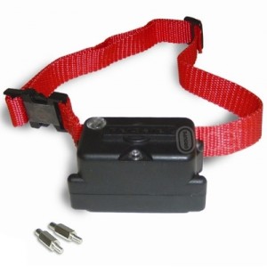 Collier anti fugue PetSafe PIG19 10763