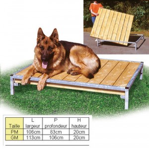 PolyTrans Bank Sleeping Dog