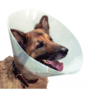 PolyTrans de protecci&oacute;n de cuello de camisa, perro, gato