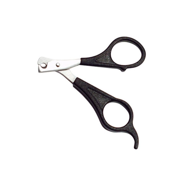 Como Cortarle las Uas a un Gato - hsi. org