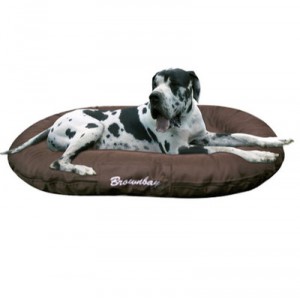 PolyTrans cushion brownbay great dog