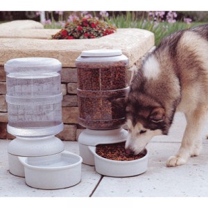 PolyTrans dispensador de agua de croquetas para perros 