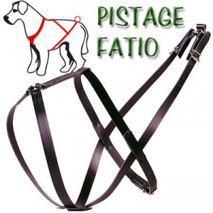 PolyTrans tracking harness type Fatio Dog