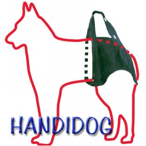 PolyTrans handidog arn&eacute;s del perro con una discapacidad