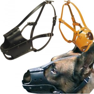 POLYTRANS museliere chien type police