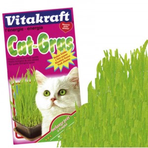 Vitakraft herbe à chat cat-gras