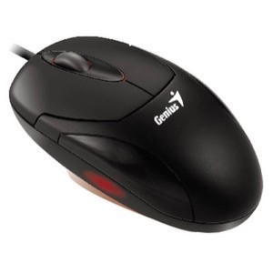 Genius - el NetScroll + Optical Mouse PS2 Negro Retail (31010144101)