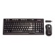 Labtec Media wireless desktop 800 (920-000300) Souris et clavier