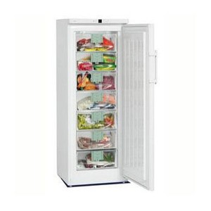 Liebherr Upright Freezer G 2713-22