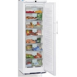 Liebherr GN 3023 Congelador vertical