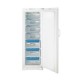 Indesit UFAN400 Brosseur vertical Congélateur