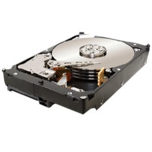 Seagate ST31000524NS Constellation ES, interne harde schijf