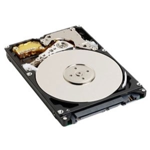 Western Digital (WD3200BEVT) 320 GB Solid State Drive (SSD)