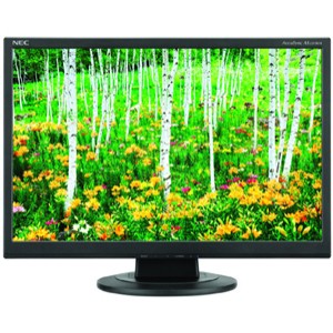 NEC AccuSync AS221WM LCD monitor 22 inch