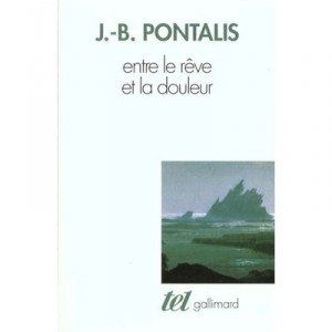 Entre Le Reve Et La Douleur - Jean-bertrand Pontalis