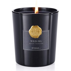 Private Collection Wild Fig Mini Fragrance Sticks Luxurious Reed Diffuser, 100 ml